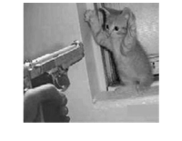 gun_cat_i.png