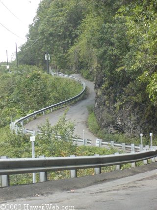 waipio_road22.jpg