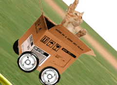 catinthebox1.gif