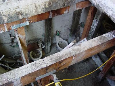 Photograph By: Joelle Ligon