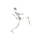 ani-skeleton-160x1201